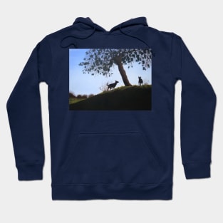 cone tree on hillside with dogs playing Hoodie